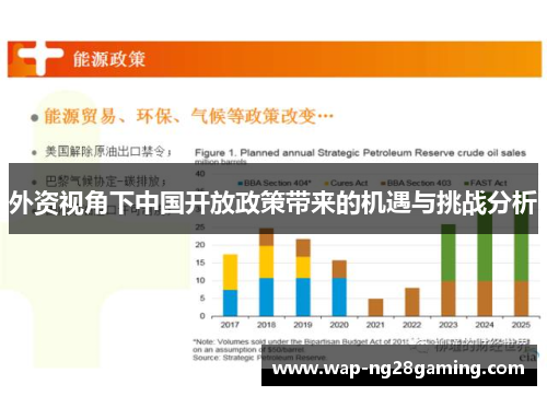 外资视角下中国开放政策带来的机遇与挑战分析 外资视角下中国开放政策带来的机遇与挑战分析