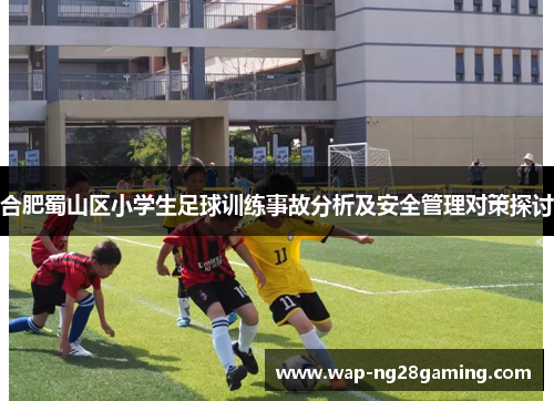 合肥蜀山区小学生足球训练事故分析及安全管理对策探讨 合肥蜀山区小学生足球训练事故分析及安全管理对策探讨