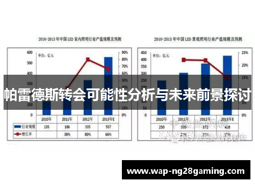 帕雷德斯转会可能性分析与未来前景探讨