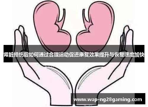 肾脏损伤后如何通过合理运动促进康复效果提升与恢复速度加快