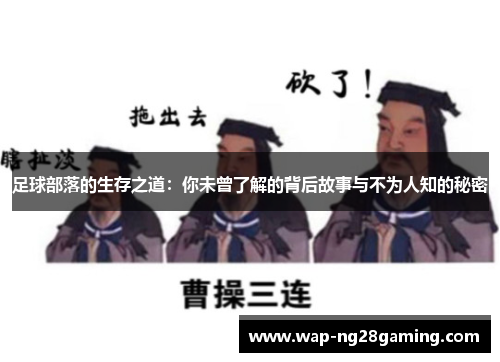 足球部落的生存之道：你未曾了解的背后故事与不为人知的秘密