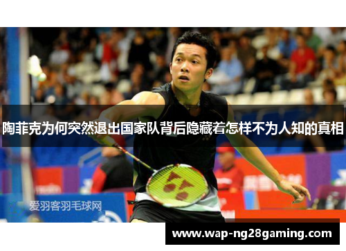 陶菲克为何突然退出国家队背后隐藏着怎样不为人知的真相