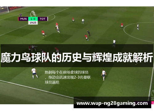 魔力鸟球队的历史与辉煌成就解析