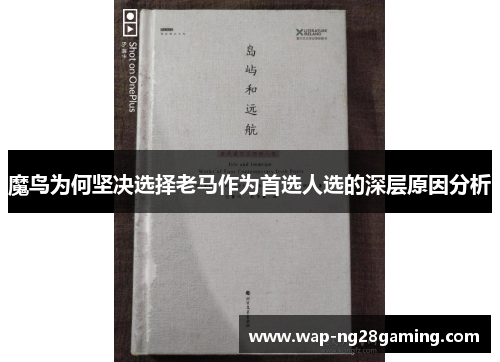 魔鸟为何坚决选择老马作为首选人选的深层原因分析